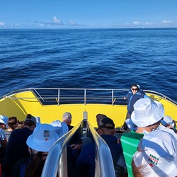 Azoren Bootsfahrt mit Wal- und Delfin-Beobachtung
